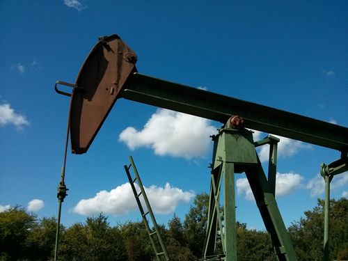 Основные причины неэффективности рекультивации нефтезагрязненных земель в Западной Сибири
