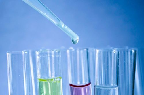 Экологическая чрезвычайная ситуация на Камчатке полгода спустя: почему рано ставить точку