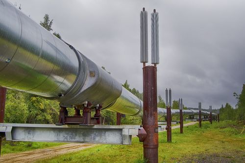Современная динамика многолетнемерзлых пород (основные причины и мониторинг)
